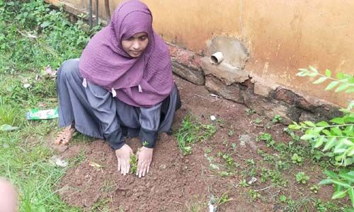 മുറ്റത്തൊരു ഔഷധച്ചെടി; വിമന്‍ ഇന്ത്യാ മൂവ്‌മെന്റ് പരിസ്ഥിതി ദിനാചരണം നടത്തി