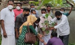 നാളെക്കൊരു തണലിനായി ആയിരം തൈകള്‍ നട്ട് വനമിത്ര കുഞ്ഞോന്‍
