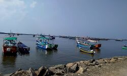 താനൂര്‍ ഹാര്‍ബറിന് ആറര കോടിയുടെ പദ്ധതി; രൂപരേഖ തയ്യാറായതായി മന്ത്രി വി അബ്ദുറഹ്മാന്‍