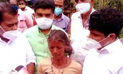 മുട്ടില്‍ വിവാദ മരംമുറി: സമഗ്രാന്വേഷണം നടത്തണമെന്ന് ടി സിദ്ദീഖ് എംഎല്‍എ