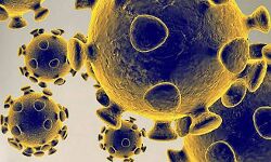 ബി 1.1.28.2 ; രാജ്യത്ത് മറ്റൊരു കൊവിഡ് വകഭേദം കൂടി കണ്ടെത്തി