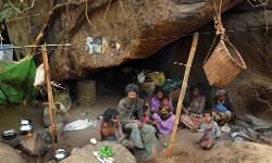 ഉള്‍വനത്തില്‍ കഴിയുന്ന ചോലനായ്ക്കര്‍ക്ക് പ്രത്യേക വാക്‌സിനേഷന്‍ ക്യാംപ് നടത്തി