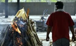 ഹൈക്കോടതി നിര്ദേശപ്രകാരം കൊവിഡ് കണക്കുകള് ഓഡിറ്റ് ചെയ്തു; ബീഹാറിലെ ആകെ കൊവിഡ് മരണങ്ങളില് 73 ശതമാനത്തിന്റെ വര്ധന ഹൈക്കോടതി നിര്ദേശപ്രകാരം കൊവിഡ് കണക്കുകള് ഓഡിറ്റ് ചെയ്തു; ബീഹാറിലെ ആകെ കൊവിഡ് മരണങ്ങളില് 73 ശതമാനത്തിന്റെ വര്ധന