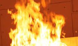 เดเตเดดเดฟเดเตเดเตเดเต เดชเดพเดณเดฏเด เดฎเดพเดฐเตโเดเตเดเดฑเตเดฑเดฟเดฒเตโ เดคเตเดชเตเดชเดฟเดเตเดคเตเดคเด เดเตเดดเดฟเดเตเดเตเดเต เดชเดพเดณเดฏเด เดฎเดพเดฐเตโเดเตเดเดฑเตเดฑเดฟเดฒเตโ เดคเตเดชเตเดชเดฟเดเตเดคเตเดคเด