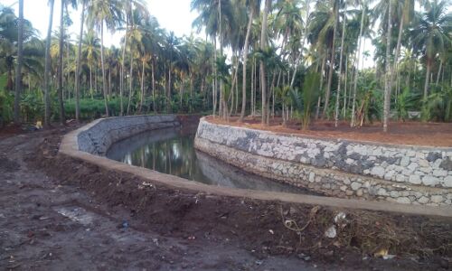 തെക്കുംപാടം തോട് ബണ്ടിന്റെ പണികള് മഴയ്ക്ക് മുന്പ് പൂര്ത്തിയായി തെക്കുംപാടം തോട് ബണ്ടിന്റെ പണികള് മഴയ്ക്ക് മുന്പ് പൂര്ത്തിയായി