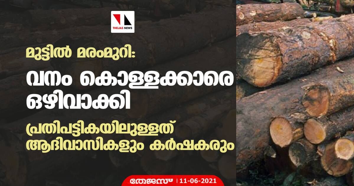 മുട്ടില്‍ മരംമുറി: വനം കൊള്ളക്കാരെ ഒഴിവാക്കി; പ്രതിപട്ടികയിലുള്ളത് ആദിവാസികളും കര്‍ഷകരും