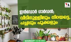 ഇന്‍ഡോര്‍ ഗാര്‍ഡന്‍; വീടിനുള്ളിലും നിറയട്ടെ, പച്ചപ്പും പൂക്കളും