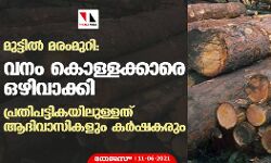 മുട്ടില്‍ മരംമുറി: വനം കൊള്ളക്കാരെ ഒഴിവാക്കി; പ്രതിപട്ടികയിലുള്ളത് ആദിവാസികളും കര്‍ഷകരും