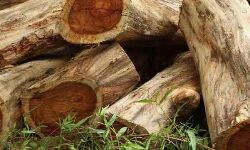 เดฎเตเดเตเดเดฟเดฒเตโ เดฎเดฐเดเดฎเตเดฑเดฟ เดเตเดธเต; เด
เดจเตเดตเตเดทเดฃ เดธเดเดเดคเตเดคเดฟเดฒเตโ เดจเดฟเดจเตเดจเตเด เดซเตเดณเตเดฏเดฟเดเดเต เดธเตโเดเตเดตเดพเดกเต เดกเดฟเดเดซเตเดเดฏเต เดฎเดพเดฑเตเดฑเดฟ เดฎเตเดเตเดเดฟเดฒเตโ เดฎเดฐเดเดฎเตเดฑเดฟ เดเตเดธเต; เด
เดจเตเดตเตเดทเดฃ เดธเดเดเดคเตเดคเดฟเดฒเตโ เดจเดฟเดจเตเดจเตเด เดซเตเดณเตเดฏเดฟเดเดเต เดธเตโเดเตเดตเดพเดกเต เดกเดฟเดเดซเตเดเดฏเต เดฎเดพเดฑเตเดฑเดฟ