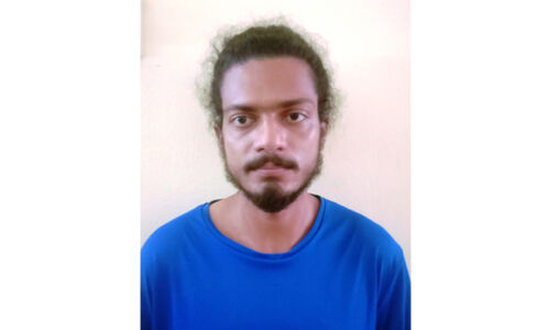 യുവതിയെ ഫ്‌ളാറ്റില്‍ തടവിലാക്കി ക്രൂരമായി പീഡിപ്പിച്ച സംഭവം: പ്രതി മാര്‍ട്ടിനെ പോലിസ് കസ്റ്റഡിയില്‍ വാങ്ങും; തിങ്കാളാഴ്ച കോടതിയില്‍ അപേക്ഷ നല്‍കും