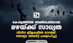 കേരളത്തില്‍ അതിശക്തമായ മഴയ്ക്ക് സാധ്യത;വിവിധ ജില്ലകളില്‍ ഓറഞ്ച്, യെല്ലോ അലര്‍ട്ട് പ്രഖ്യാപിച്ചു
