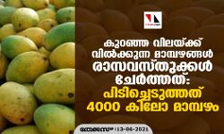കുറഞ്ഞ വിലയ്ക്ക് വില്‍ക്കുന്ന മാമ്പഴങ്ങള്‍ രാസവസ്തുക്കള്‍ ചേര്‍ത്തത്: പിടിച്ചെടുത്തത് 4000 കിലോ മാമ്പഴം