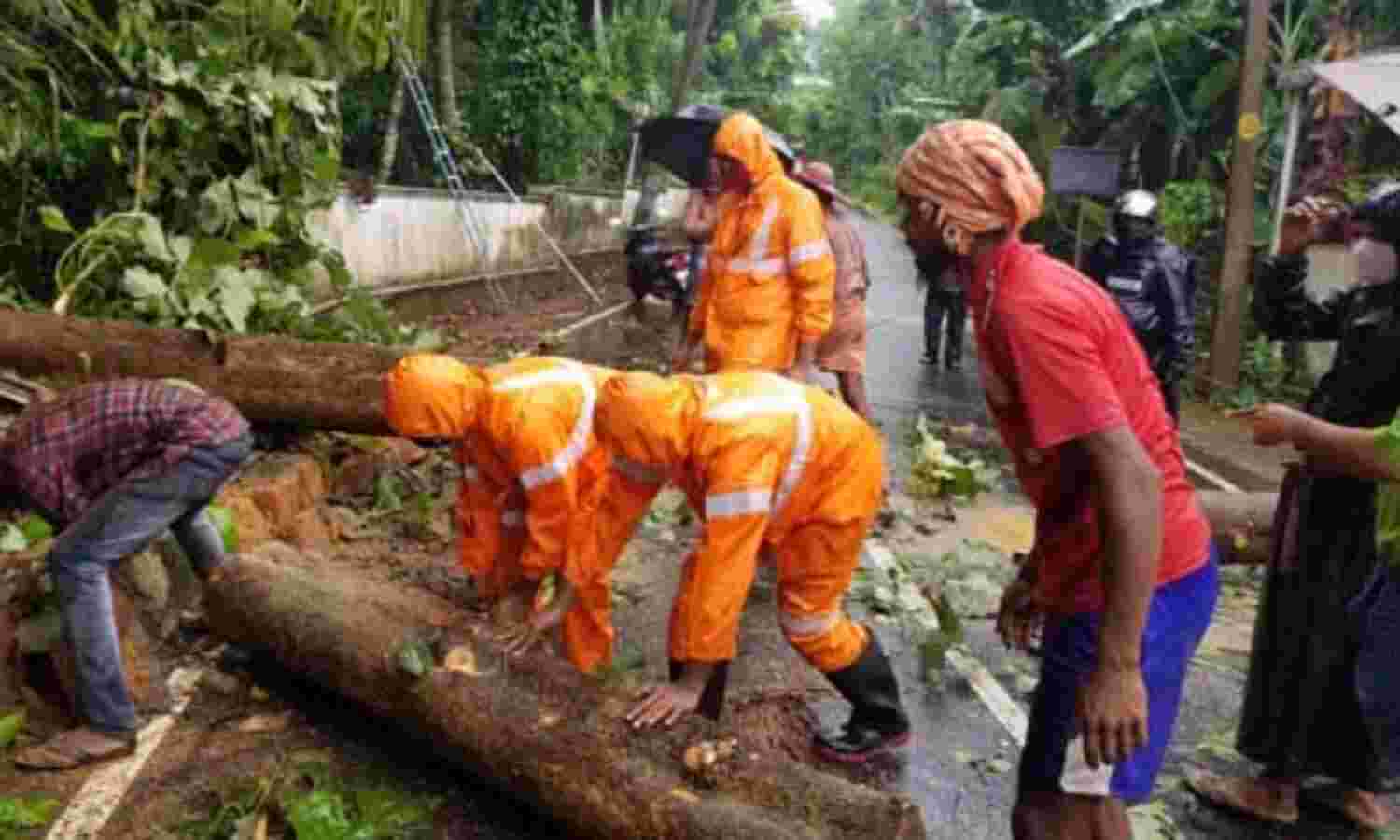 കാറ്റില് മരംവീണ് ഗതാഗതം തടസ്സപ്പെട്ടു കാറ്റില് മരംവീണ് ഗതാഗതം തടസ്സപ്പെട്ടു