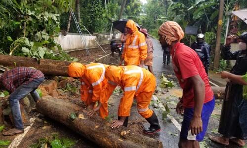 കാറ്റില്‍ മരംവീണ് ഗതാഗതം തടസ്സപ്പെട്ടു