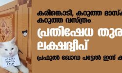 കരിങ്കൊടി, കറുത്ത മാസ്‌ക്, കറുത്ത വസ്ത്രം; പ്രതിഷേധ തുരുത്തായി ലക്ഷദ്വീപ്; പ്രഫുല്‍ പട്ടേല്‍ ഇന്ന് കവരത്തിയില്‍