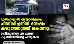 ഡല്‍ഹിയില്‍ വയോധികയെ പീഡിപ്പിച്ചതിന് ശേഷം കഴുത്തറുത്ത് കൊന്നു; ശരീരത്തില്‍ 20 തവണ കുത്തിയതിന്റെ പാടുകള്‍