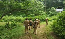 പത്തനാപുരത്ത് ഡിറ്റനേറ്റര്‍ കണ്ടെത്തിയ സംഭവം; സ്ഥലത്ത് ഉന്നത പോലിസ് ഉദ്യോഗസ്ഥര്‍ പരിശോധന നടത്തുന്നു