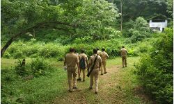 പത്തനാപുരത്ത് കണ്ടെത്തിയ ജലാറ്റിന് സ്റ്റിക്കുകള് സ്ഫോടന ശേഷിയില്ലാത്തതെന്ന് പത്തനാപുരത്ത് കണ്ടെത്തിയ ജലാറ്റിന് സ്റ്റിക്കുകള് സ്ഫോടന ശേഷിയില്ലാത്തതെന്ന്