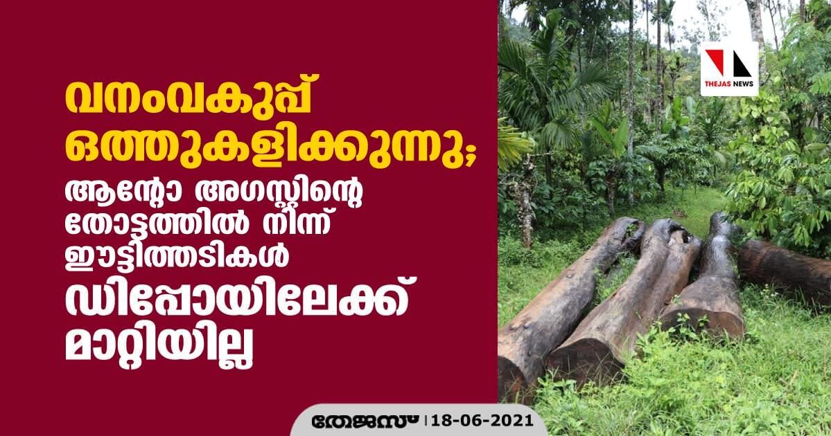 വനംവകുപ്പ് ഒത്തുകളിക്കുന്നു; ആന്റോ അഗസ്റ്റിന്‍റെ തോട്ടത്തില്‍ നിന്ന് ഈട്ടിത്തടികൾ ഡിപ്പോയിലേക്ക് മാറ്റിയില്ല