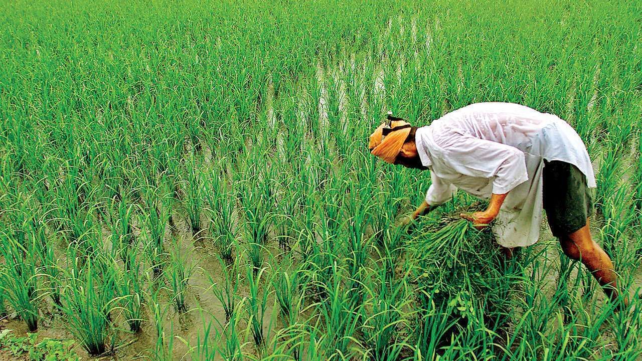 പിഎം കിസാന്‍ യോജന: ധനസഹായത്തിന് ജൂണ്‍ 30 വരെ അപേക്ഷിക്കാം