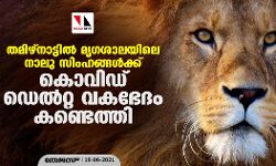 തമിഴ്‌നാട്ടില്‍ മൃഗശാലയിലെ നാലു സിംഹങ്ങള്‍ക്ക് കൊവിഡ് ഡെല്‍റ്റ വകഭേദം കണ്ടെത്തി