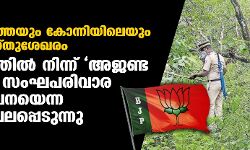 പത്തനാപുരത്തെയും കോന്നിയിലെയും സ്‌ഫോടക വസ്തുശേഖരം: കള്ളപ്പണത്തില്‍ നിന്ന് അജണ്ട മാറ്റാനുള്ള സംഘപരിവാര ഗുഢാലോചനയെന്ന സംശയം ബലപ്പെടുന്നു