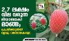2.7 ലക്ഷം വില വരുന്ന മിയാസാകി മാങ്ങ; പ്രചരിക്കുന്നത് വ്യാജ വാര്‍ത്തകളോ