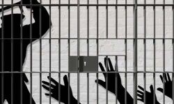 เดคเตเดฒเดเตเดเดพเดจเดฏเดฟเดฒเตโ เดชเตเดฒเดฟเดธเต เดเดธเตเดฑเตเดฑเดกเดฟเดฏเดฟเดฒเตโ เดธเตเดคเตเดฐเต เดฎเดฐเดฟเดเตเดเต; เดฎเดฐเตโเดฆเตเดฆเดฟเดเตเดเตเดเตเดจเตเดจเดคเตเดจเตเดจเต เดฌเดจเตเดงเตเดเตเดเดณเตโ เดคเตเดฒเดเตเดเดพเดจเดฏเดฟเดฒเตโ เดชเตเดฒเดฟเดธเต เดเดธเตเดฑเตเดฑเดกเดฟเดฏเดฟเดฒเตโ เดธเตเดคเตเดฐเต เดฎเดฐเดฟเดเตเดเต; เดฎเดฐเตโเดฆเตเดฆเดฟเดเตเดเตเดเตเดจเตเดจเดคเตเดจเตเดจเต เดฌเดจเตเดงเตเดเตเดเดณเตโ