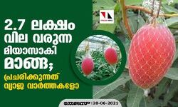 2.7 ലക്ഷം വില വരുന്ന മിയാസാകി മാങ്ങ; പ്രചരിക്കുന്നത് വ്യാജ വാര്‍ത്തകളോ