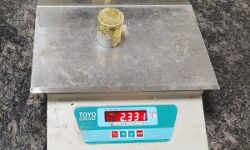 കോഫി മേക്കറിനുള്ളില്‍ ഒളിപ്പിച്ച് കടത്താന്‍ ശ്രമിച്ച സ്വര്‍ണം പിടികൂടി