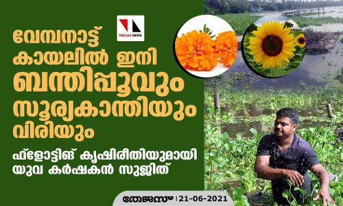 വേമ്പനാട്ട് കായലില്‍ ഇനി ബന്തിപ്പൂവും സൂര്യകാന്തിയും വിരിയും;ഫ്‌ളോട്ടിങ് കൃഷിരീതിയുമായി യുവ കര്‍ഷകന്‍ സുജിത്