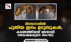 മിസോറാമില് പുതിയ ഇനം ഉറുമ്പുകള്: കണ്ടെത്തിയത് മലയാളി ഗവേഷകരുടെ സംഘം മിസോറാമില് പുതിയ ഇനം ഉറുമ്പുകള്: കണ്ടെത്തിയത് മലയാളി ഗവേഷകരുടെ സംഘം