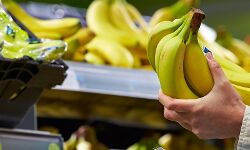 ഉത്തര കൊറിയയില്‍ വന്‍ വിലക്കയറ്റം; പഴത്തിന് 3340 രൂപ