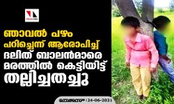 ഞാവല്‍ പഴം പറിച്ചെന്ന് ആരോപിച്ച് ദലിത് ബാലന്‍മാരെ മരത്തില്‍ കെട്ടിയിട്ട് തല്ലിച്ചതച്ചു