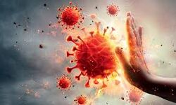 കണ്ണൂര് ജില്ലയില് 696 പേര്ക്ക് കൂടി കൊവിഡ്; 668 പേര്ക്ക് സമ്പര്ക്കത്തിലൂടെ കണ്ണൂര് ജില്ലയില് 696 പേര്ക്ക് കൂടി കൊവിഡ്; 668 പേര്ക്ക് സമ്പര്ക്കത്തിലൂടെ