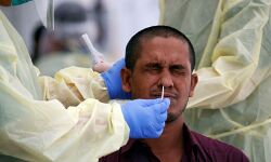 ഇടുക്കിയില്‍ 309 പേര്‍ക്ക് കൂടി കൊവിഡ്; 472 പേര്‍ക്ക് രോഗമുക്തി, ടിപിആര്‍ 8.46%