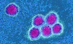 കോഴിക്കോട് ജില്ലയില്‍ 1061 പേര്‍ക്ക് കൊവിഡ്