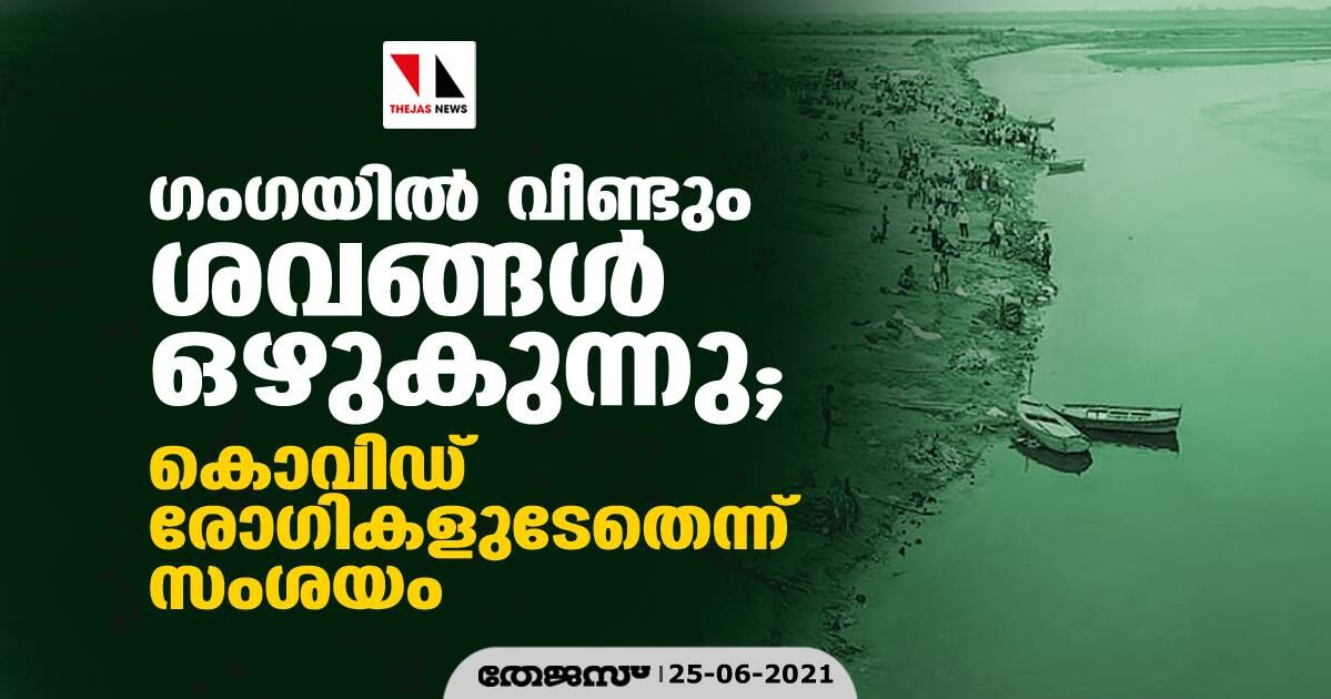 ഗംഗയിൽ വീണ്ടും ശവങ്ങൾ ഒഴുകുന്നു; കൊവിഡ് രോഗികളുടേതെന്ന് സംശയം ഗംഗയിൽ വീണ്ടും ശവങ്ങൾ ഒഴുകുന്നു; കൊവിഡ് രോഗികളുടേതെന്ന് സംശയം