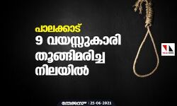 പാലക്കാട് 9 വയസ്സുകാരി തൂങ്ങിമരിച്ച നിലയില്‍
