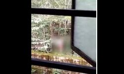 ഹോസ്റ്റലിന് മുന്നില്‍ നഗ്നത പ്രദര്‍ശിപ്പിച്ച് യുവാവ്; പരാതി നല്‍കിയിട്ടും നടപടിയില്ലെന്ന് ആക്ഷേപം