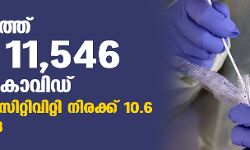 സംസ്ഥാനത്ത് ഇന്ന് 11,546 പേര്ക്ക് കൊവിഡ്; ടെസ്റ്റ് പോസിറ്റിവിറ്റി നിരക്ക് 10.6; മരണം 118 സംസ്ഥാനത്ത് ഇന്ന് 11,546 പേര്ക്ക് കൊവിഡ്; ടെസ്റ്റ് പോസിറ്റിവിറ്റി നിരക്ക് 10.6; മരണം 118