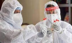 ഇടുക്കിയില്‍ 239 പേര്‍ക്ക് കൂടി കൊവിഡ്; 273 പേര്‍ക്ക് രോഗമുക്തി, ടിപിആര്‍ 7.47%