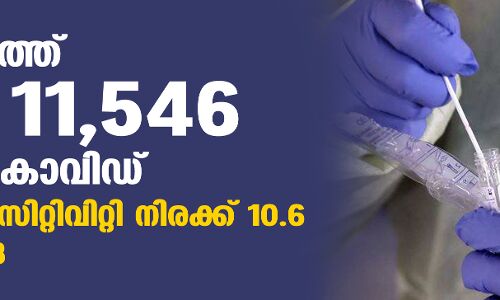 സംസ്ഥാനത്ത് ഇന്ന് 11,546 പേര്ക്ക് കൊവിഡ്; ടെസ്റ്റ് പോസിറ്റിവിറ്റി നിരക്ക് 10.6; മരണം 118 സംസ്ഥാനത്ത് ഇന്ന് 11,546 പേര്ക്ക് കൊവിഡ്; ടെസ്റ്റ് പോസിറ്റിവിറ്റി നിരക്ക് 10.6; മരണം 118