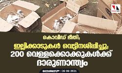 കൊവിഡ് ഭീതി; ഇല്ലിക്കാടുകള്‍ വെട്ടിനശിപ്പിച്ചു; 200 വെള്ളക്കൊക്കുകള്‍ക്ക് ദാരുണാന്ത്യം