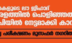നുണകളുടെ ലൗ ജിഹാദ്; കേരളത്തില്‍ പൊളിഞ്ഞത് യുപിയില്‍ നേട്ടമാക്കി കാവിപ്പട; ആദ്യ പരീക്ഷണം മുസഫര്‍ നഗറില്‍