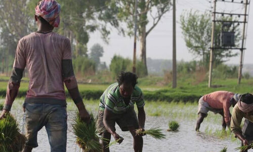 ബിജെപിക്ക് വോട്ട് ചെയ്യരുത്; ഇതര സംസ്ഥാന തൊഴിലാളികള്ക്കിടയില് ക്യാമ്പയിനുമായി പഞ്ചാബി കര്ഷകര് ബിജെപിക്ക് വോട്ട് ചെയ്യരുത്; ഇതര സംസ്ഥാന തൊഴിലാളികള്ക്കിടയില് ക്യാമ്പയിനുമായി പഞ്ചാബി കര്ഷകര്