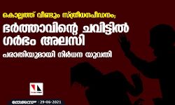 കൊല്ലത്ത് വീണ്ടും സ്ത്രീധനപീഡനം; ഭര്‍ത്താവിന്റെ ചവിട്ടില്‍ ഗര്‍ഭം അലസി; പരാതിയുമായി നിര്‍ധന യുവതി