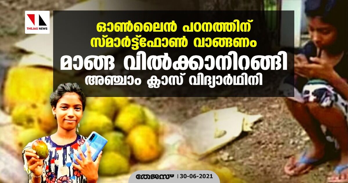 ഓണ്ലൈന് പഠനത്തിന് സ്മാര്ട്ട്ഫോണ് വാങ്ങണം; മാങ്ങ വില്ക്കാനിറങ്ങി അഞ്ചാം ക്ലാസ് വിദ്യാര്ഥിനി ഓണ്ലൈന് പഠനത്തിന് സ്മാര്ട്ട്ഫോണ് വാങ്ങണം; മാങ്ങ വില്ക്കാനിറങ്ങി അഞ്ചാം ക്ലാസ് വിദ്യാര്ഥിനി