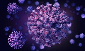 കോഴിക്കോട് ജില്ലയില്‍ ഇന്ന് 1254 പേര്‍ക്ക് കൊവിഡ്: ടെസ്റ്റ് പോസിറ്റിവിറ്റി നിരക്ക് 11.32