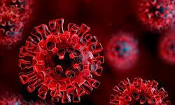 കണ്ണൂര് ജില്ലയില് 634 പേര്ക്ക് കൂടി കൊവിഡ്; 610 പേര്ക്ക് സമ്പര്ക്കത്തിലൂടെ കണ്ണൂര് ജില്ലയില് 634 പേര്ക്ക് കൂടി കൊവിഡ്; 610 പേര്ക്ക് സമ്പര്ക്കത്തിലൂടെ